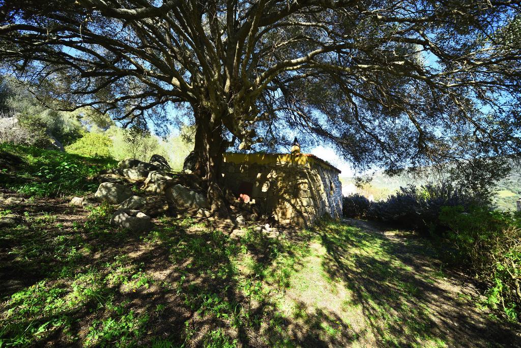 Lu Rotu Villa Sant'Antonio di Gallura Eksteriør bilde