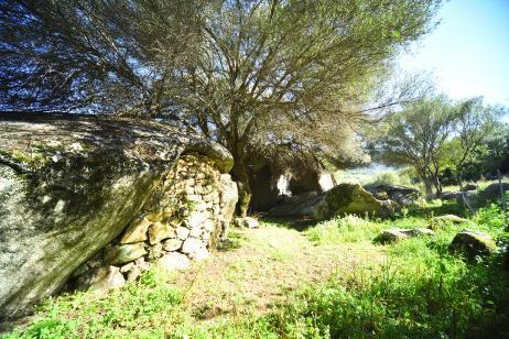 Lu Rotu Villa Sant'Antonio di Gallura Eksteriør bilde